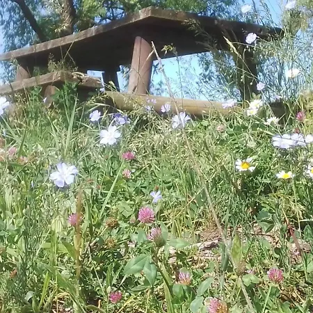 Casa Vacanze La Fermata Delle Rondini